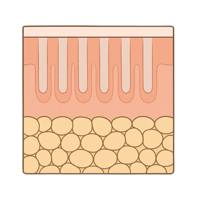 Inside CO₂ laser resurfacing, anatomical illustration